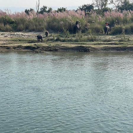 Chitwan Riverside Resort Sauraha Bagian luar foto