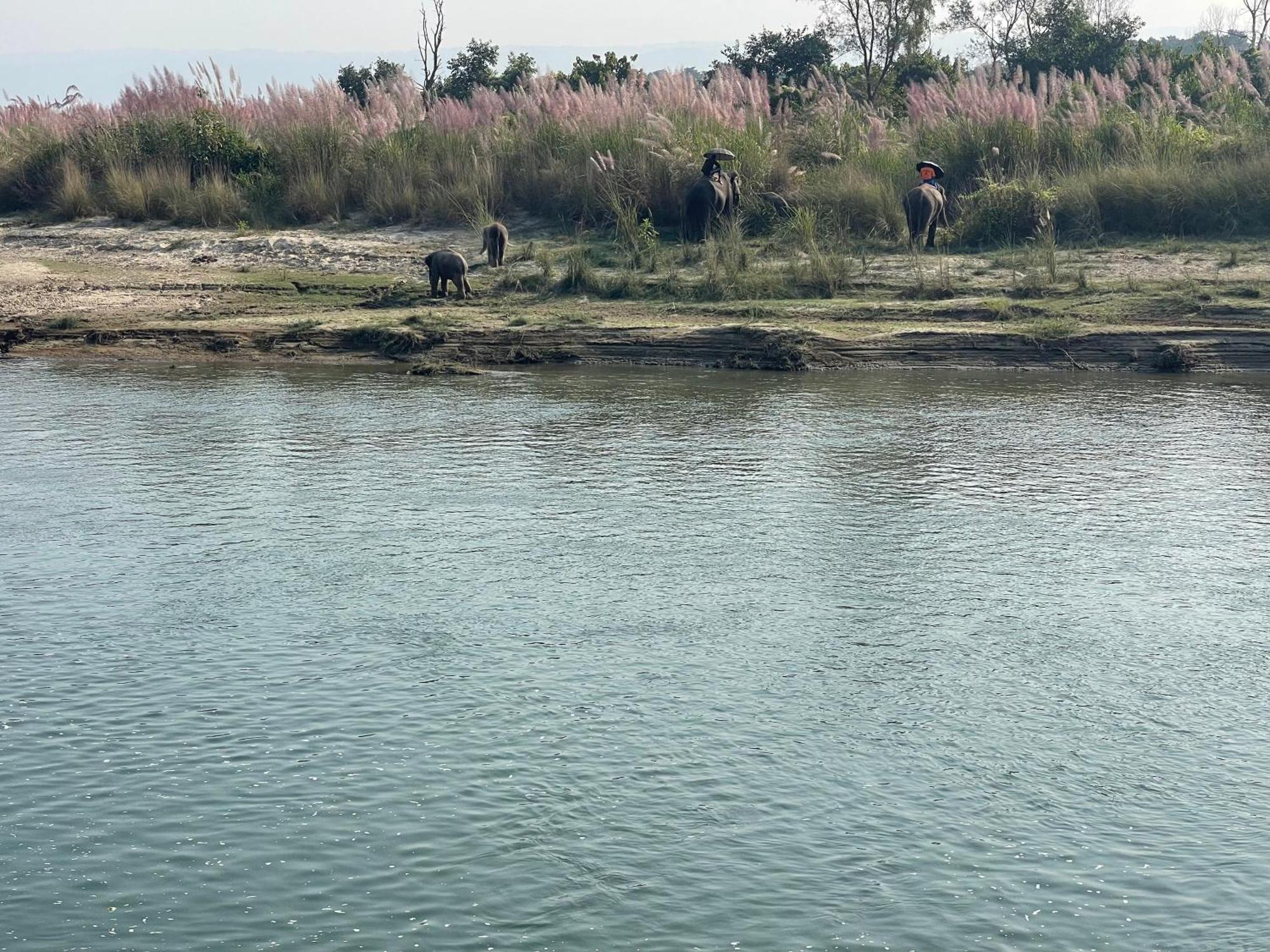 Chitwan Riverside Resort Sauraha Bagian luar foto