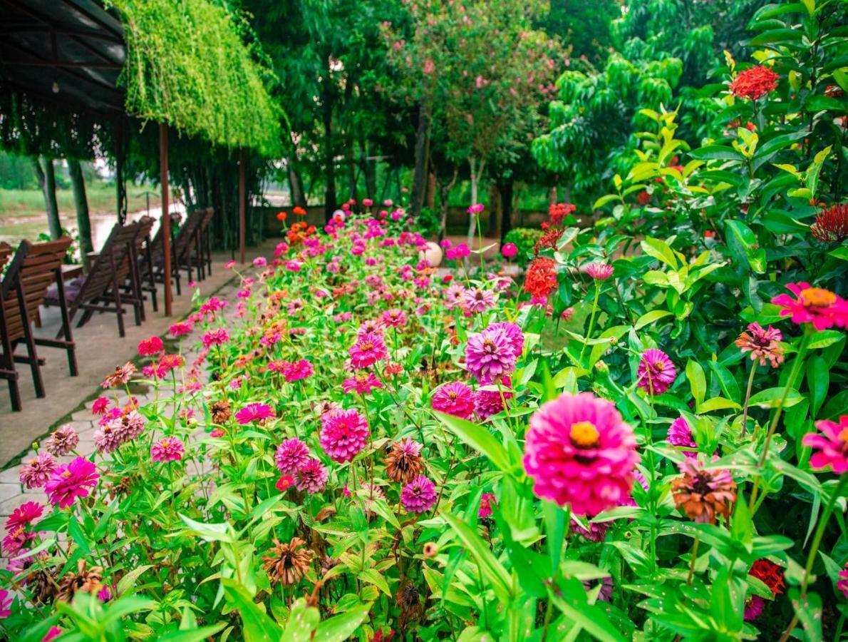 Chitwan Riverside Resort Sauraha Bagian luar foto