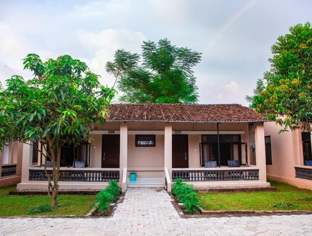 Chitwan Riverside Resort Sauraha Bagian luar foto