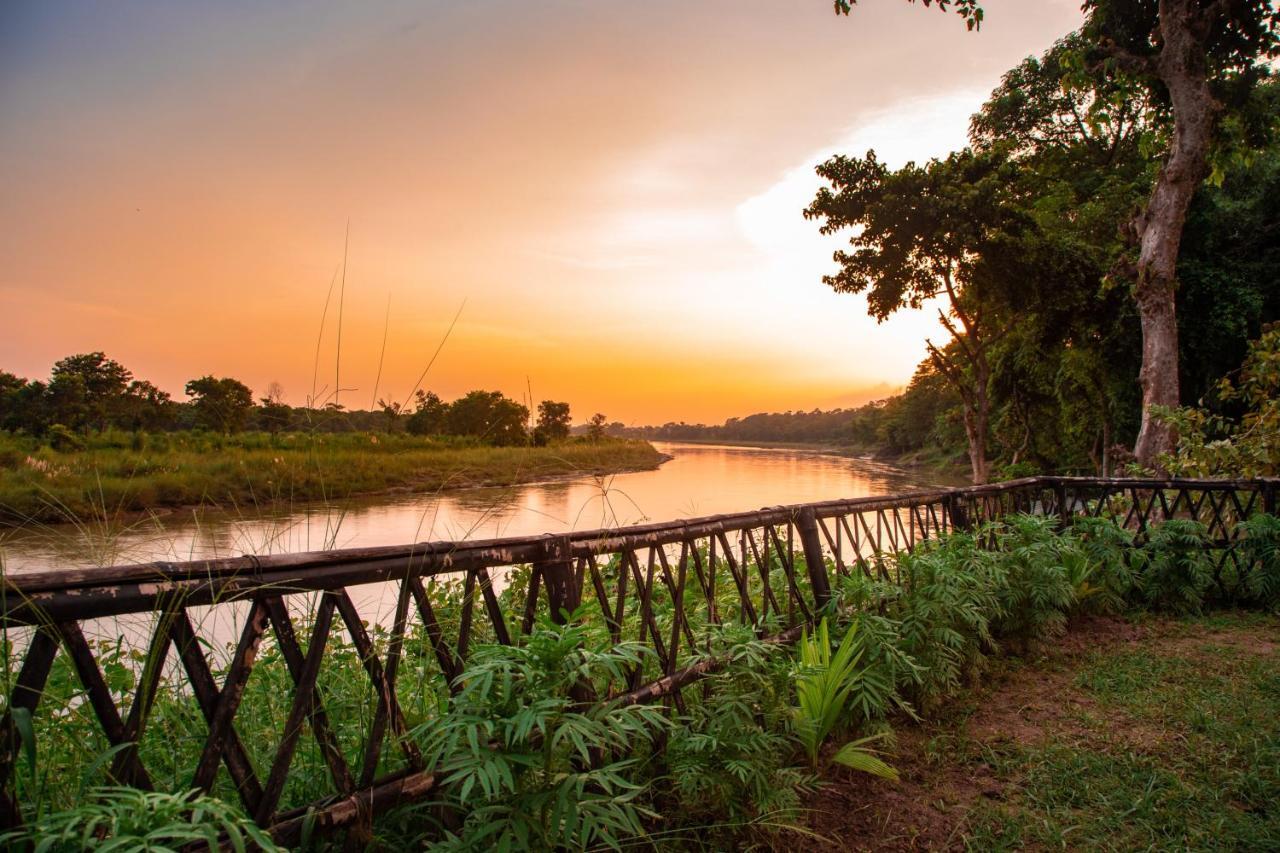 Chitwan Riverside Resort Sauraha Bagian luar foto