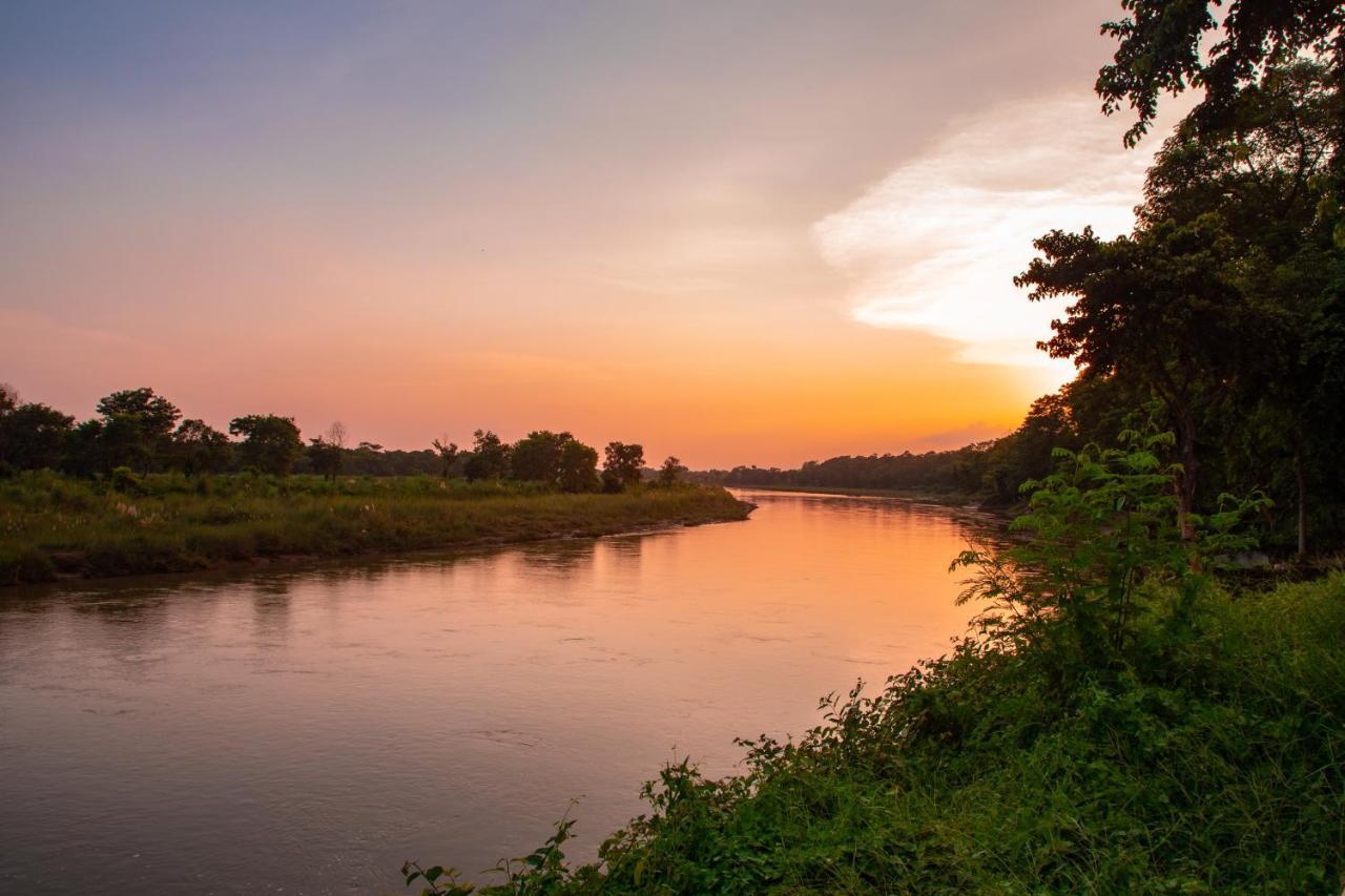 Chitwan Riverside Resort Sauraha Bagian luar foto