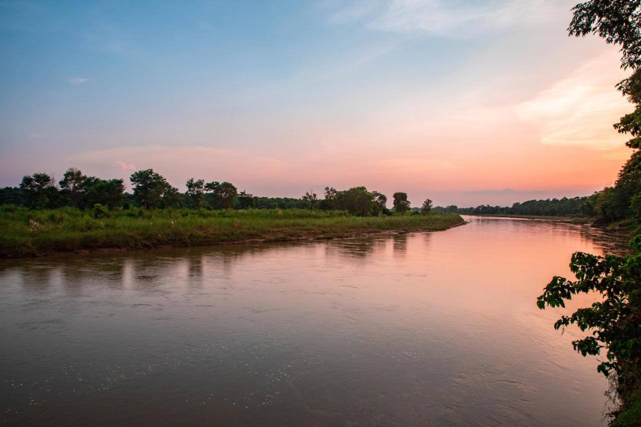 Chitwan Riverside Resort Sauraha Bagian luar foto